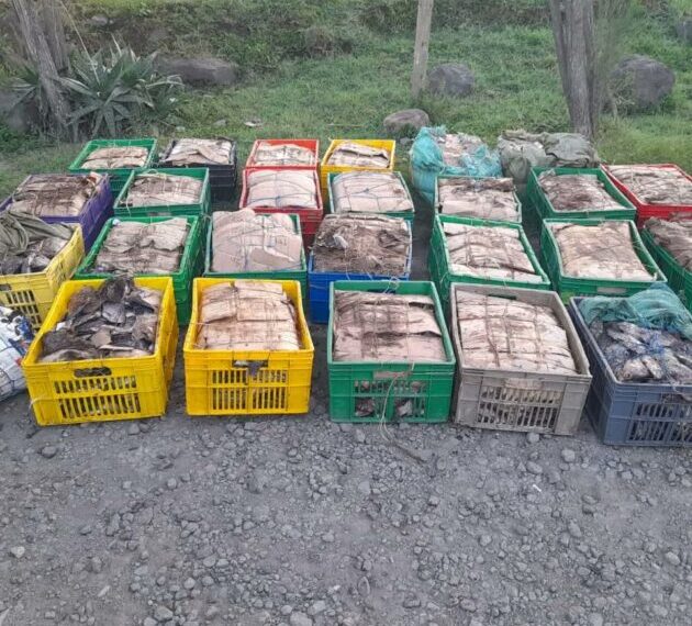 Police, KWS arrest suspect with 850kg of fish from Lake Nakuru » Capital News