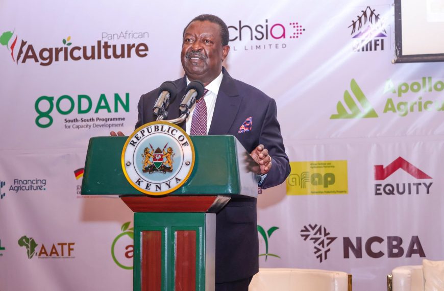 PCS Mudavadi decries slow delivery of services to Kenyans