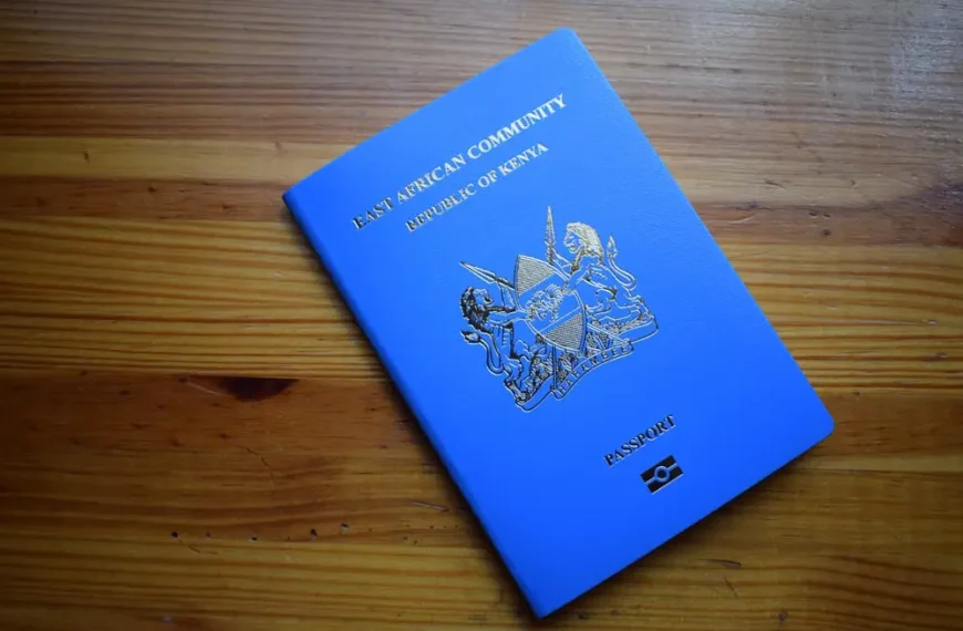 Treasury to cede billions to Immigration to solve passport crisis