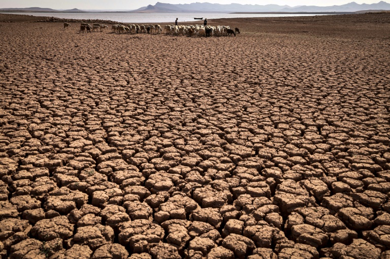 Urgent Action Urged as Southern Africa Faces Deepening Drought Crisis » Capital News
