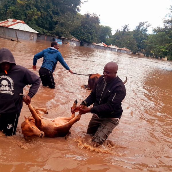 Governor Sang urges accelerated infrastructure development to combat flooding in Nyando » Capital News