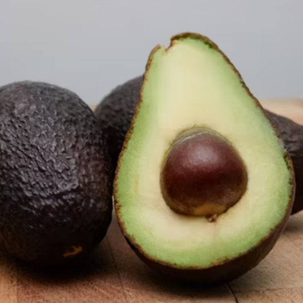 Kenya eyes ripening avocado market in China » Capital News