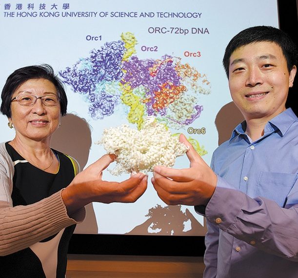 Scientist uses high-def tech to delve deeper into DNA – China Daily