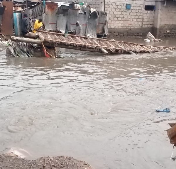 WFP implements anticipatory action to mitigate impact of floods in Somalia » Capital News