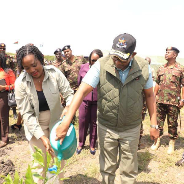 Trees best weaponry in climate change fight, CS Tuya says