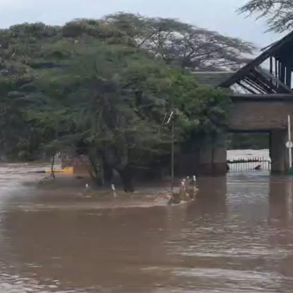 Tourists evacuated as camps flooded in Maasai Mara » Capital News
