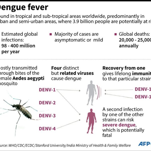 Dengue Outbreak in Turbat Claims 14 Lives, Over 5,000 Diagnosed » Capital News