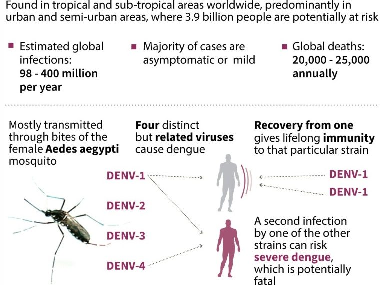 Dengue Outbreak in Turbat Claims 14 Lives, Over 5,000 Diagnosed » Capital News