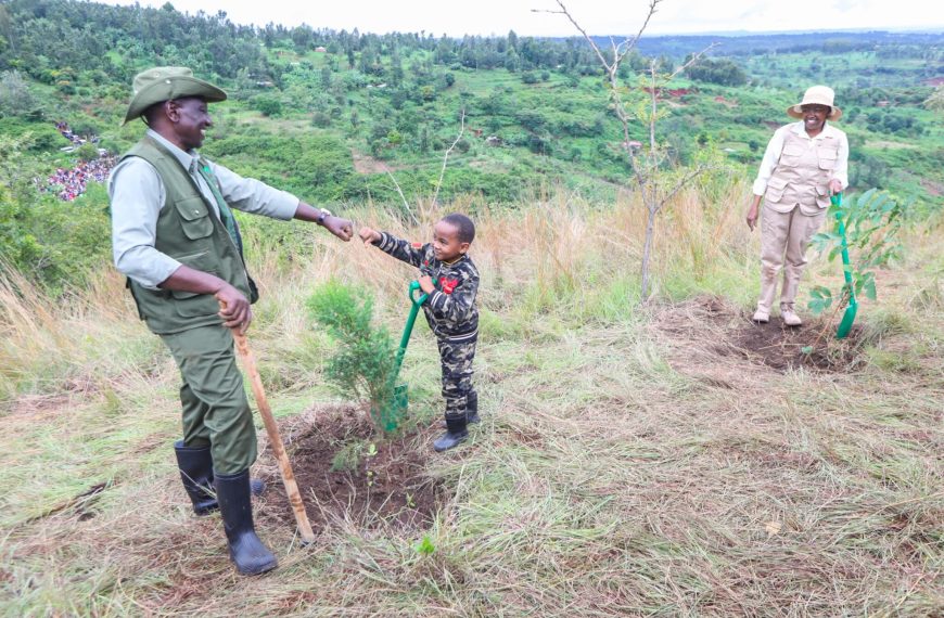 Ruto: Environmental conservation is answer to climate change challenge