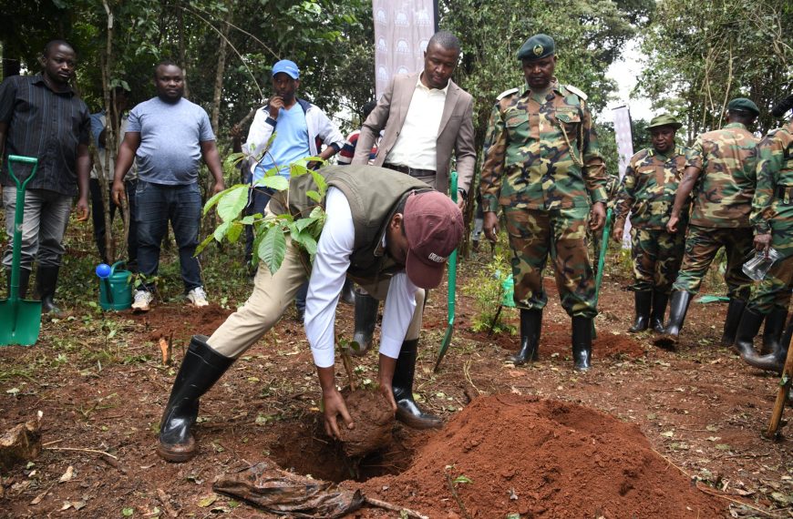 Govt eyes to plant one billion trees Friday