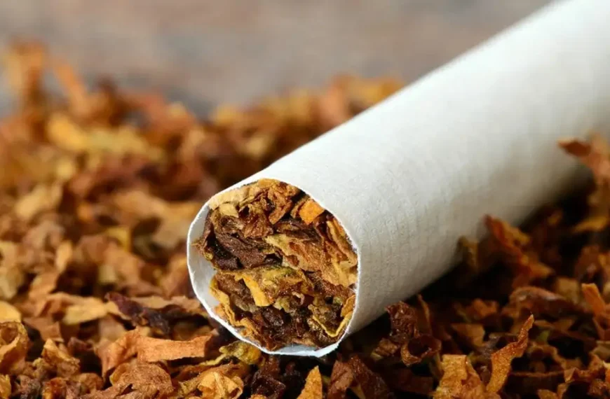 Kenya’s tobacco industry calls for factual, science-based regulation