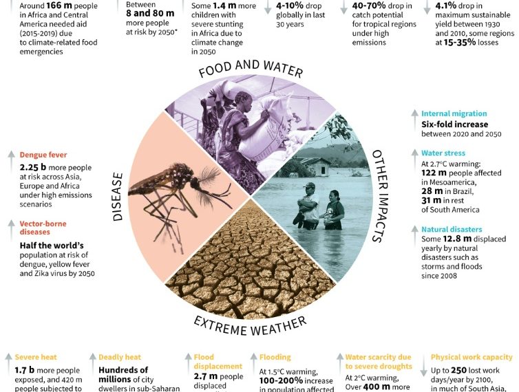 WWF partners with Zambia to implement 2 climate adaptation projects » Capital News