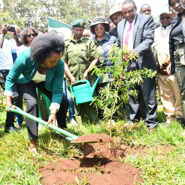 Government determined to ensure Kenya fully restores degraded landscapes, ecosystems, says CS Tuya