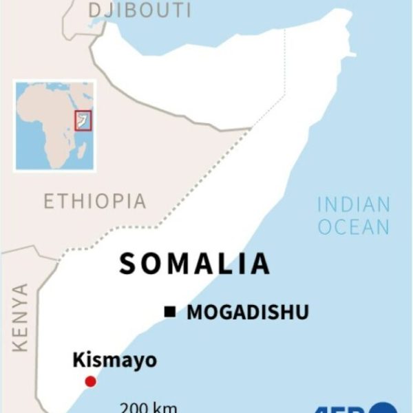 Giant step for Somalia with UN Security Council seat » Capital News