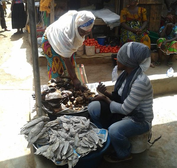 AU, ILRI to develop guidelines to help African governments improve food safety in informal food markets