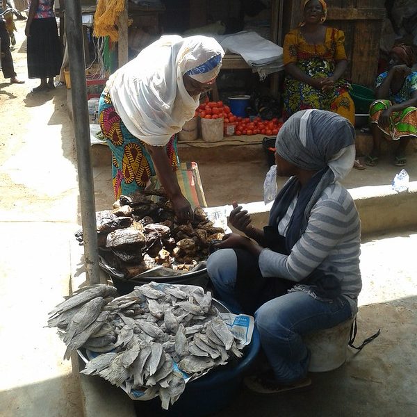AU, ILRI to develop guidelines to help African governments improve food safety in informal food markets