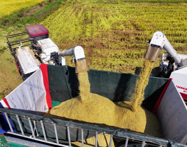 China’s grain storage capacity exceeds 700 mln metric tons by end of 2023