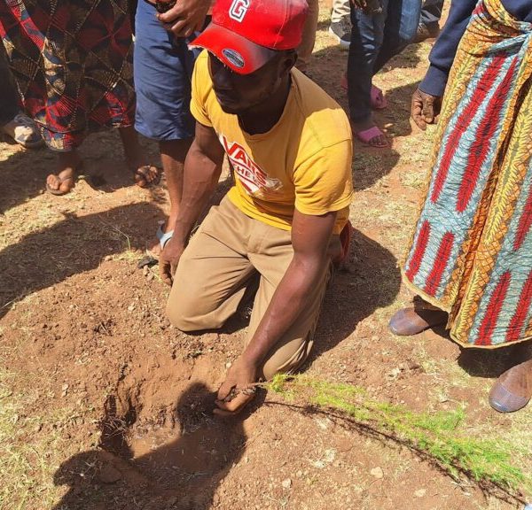 Taita Taveta plants 10,000 seedlings on riparian land near Lake Jipe » Capital News