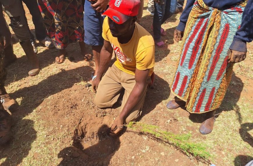 Taita Taveta plants 10,000 seedlings on riparian land near Lake Jipe » Capital News