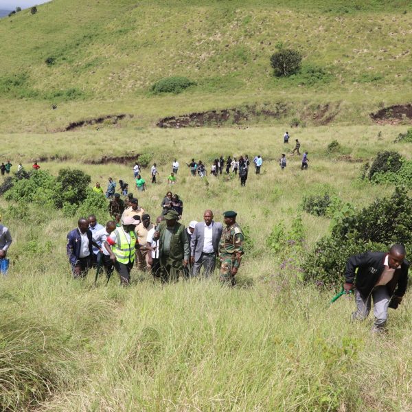 Govt moves to expel illegal herders from gazetted forests » Capital News
