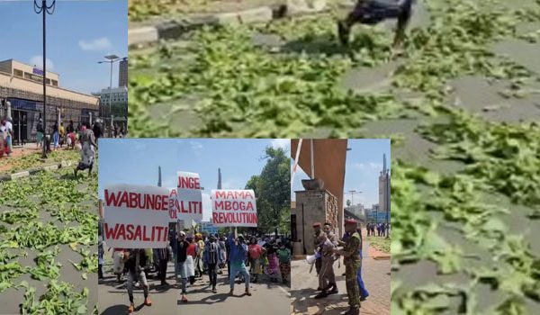 Police Disperse ‘Mama Mboga Revolution’ Protest Outside Parliament, Arrest Comedian Eric Omondi » Capital News