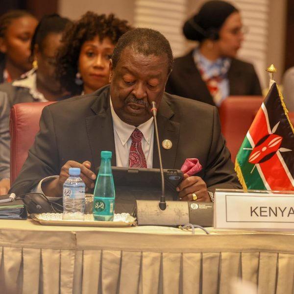 Mudavadi urges unified African voice in push for UN Security Council reforms