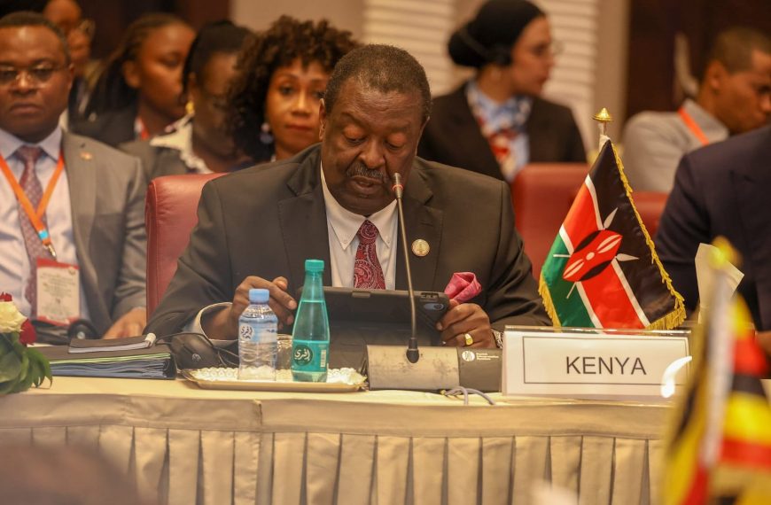 Mudavadi urges unified African voice in push for UN Security Council reforms