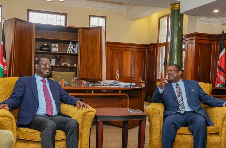 Raila lauds govt support for his AUC bid, expresses hope he will win