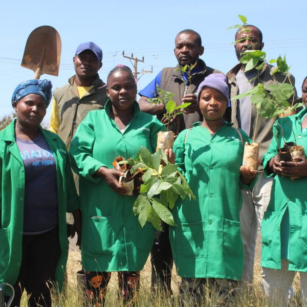 Taita Taveta launches Sh2mn roadside tree planting covering 275km » Capital News