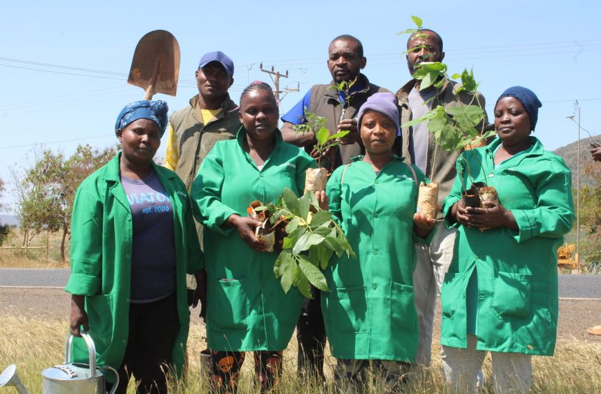 Taita Taveta launches Sh2mn roadside tree planting covering 275km » Capital News