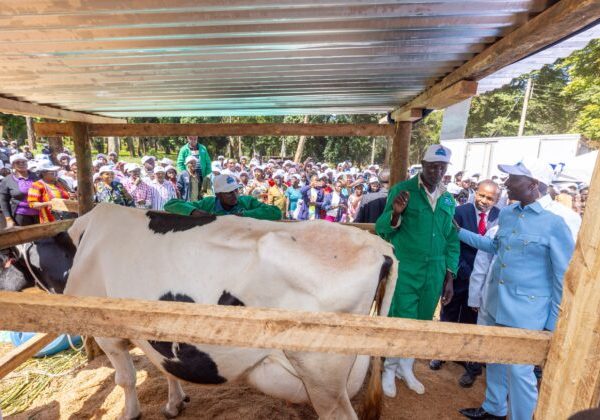 Govt committed to supporting farmers, President Ruto says » Capital News