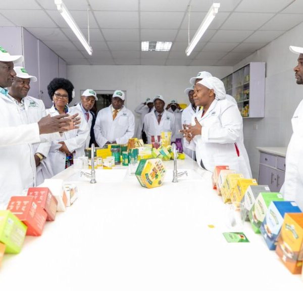 President Ruto announces establishment of Common User Facilities to enhance value of manufactured tea » Capital News