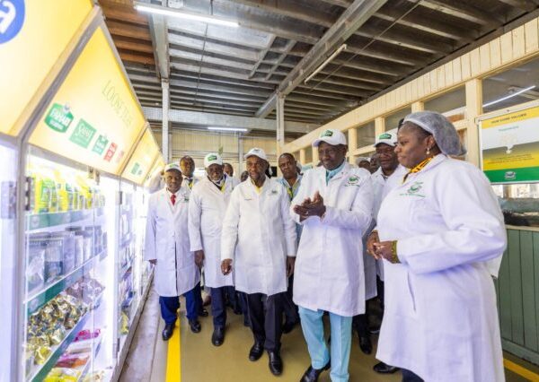 President Ruto vows to expand tea, coffee markets as he launches Gold tea » Capital News