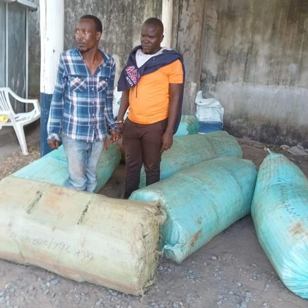 Two arrested in major bhang bust on Mariakani-Mavueni Road