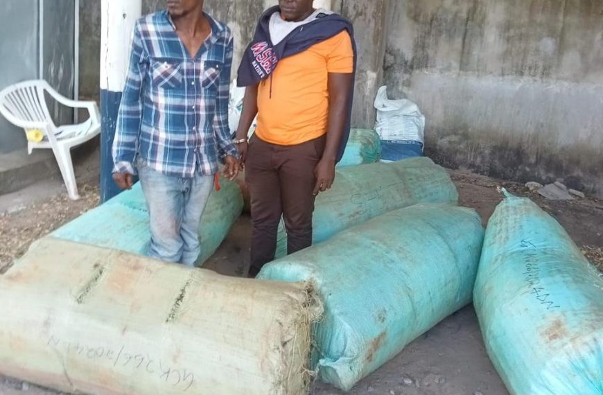 Two arrested in major bhang bust on Mariakani-Mavueni Road