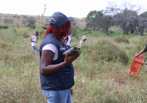 Taita Taveta on course to reforest 360,000 hectares: official » Capital News