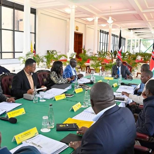 UDA Suspends Grassroots Elections in Three Counties, Including Nairobi » Capital News