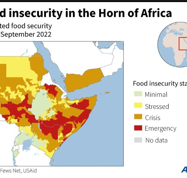 Almost 33 mln people in Sahel need lifesaving aid, protection: UN » Capital News
