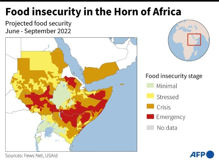 Almost 33 mln people in Sahel need lifesaving aid, protection: UN » Capital News