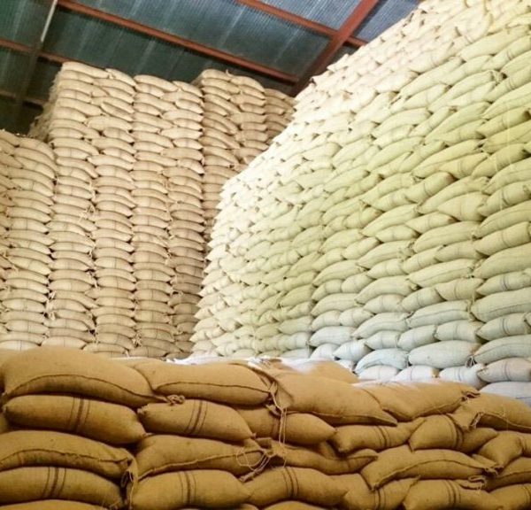 Agriculture Committee says program ended up as a conduit for corruption