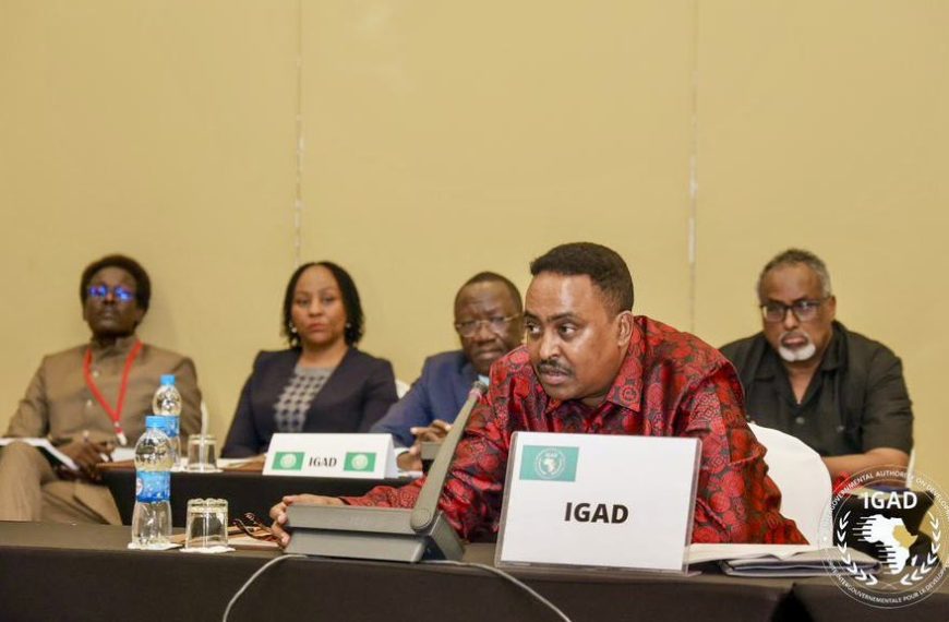IGAD commits to unified Sudan