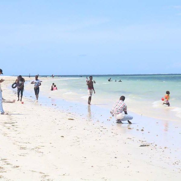 Kenya’s coastal communities embrace seaweed farming amid livelihood transformation » Capital News