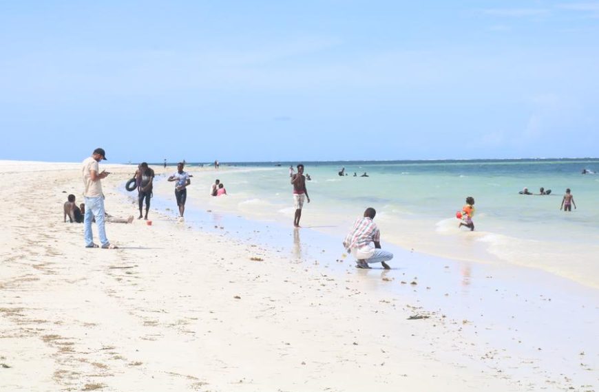 Kenya’s coastal communities embrace seaweed farming amid livelihood transformation » Capital News