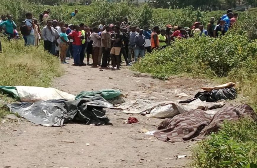Investigations launched after human remains found at Mukuru dumpsite