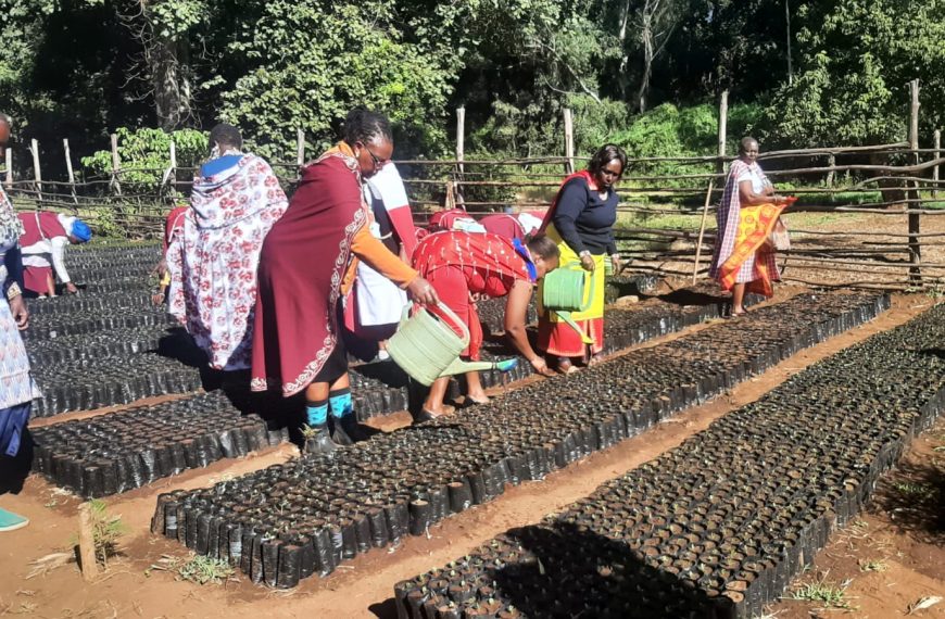 Empowering voices: Kajiado widows lead the way in conservation