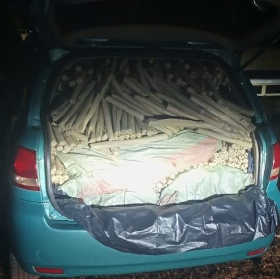 Drug trafficker arrested with cannabis worth over Ksh 11M