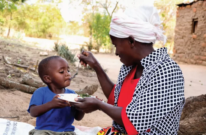 Kenya, Nutrition International strengthen partnership to combat malnutrition