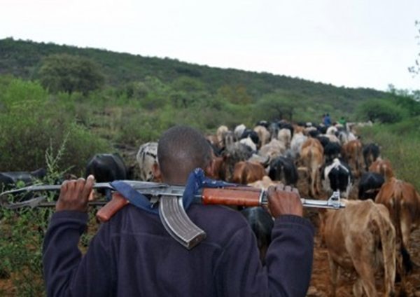 Multi-Agency Security Team Evicts Livestock from Kiptunga Forest, Arrests Three » Capital News