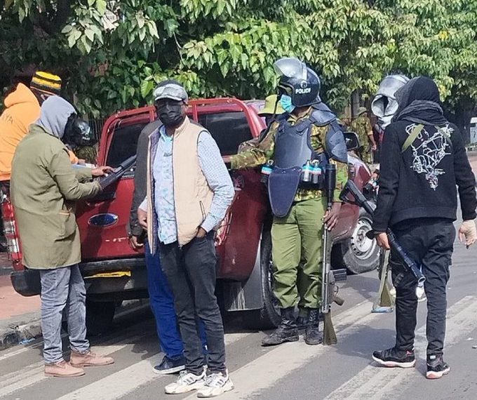 the powerful legal shields citizens and courts can use – expert » Capital News