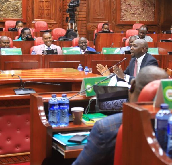 I am as gentle as a dove, Murkomen says on show of opulence claims » Capital News